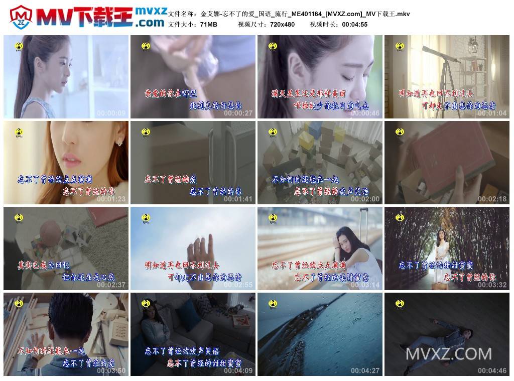 金艾娜-忘不了的爱_国语_流行_ME401164